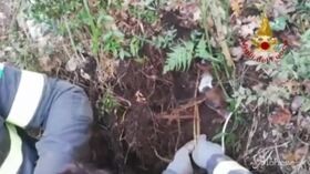 Benevento: cani sepolti vivi, il salvataggio dei vigili del fuoco