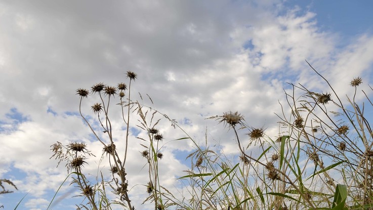 Il meteo del 31 gennaio e dell'1 febbraio: nuvolosità in aumento su tutta Italia