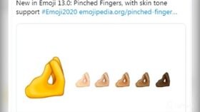 La mano “a cuoppo” diventa un’emoji
