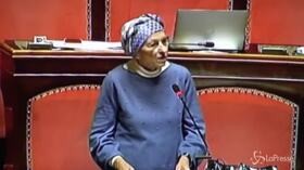 Gregoretti, Bonino: “Voterò si a richiesta autorizzazione a procedere nei confronti di Salvini”