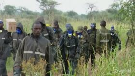 Uganda, i soldati contro l’invasione delle locuste del deserto