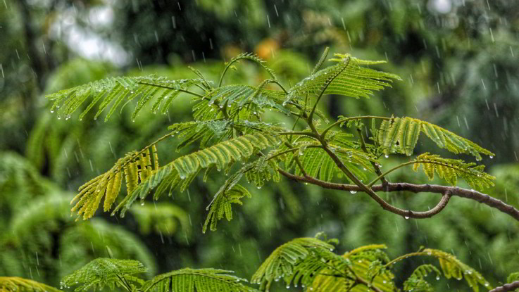 Il meteo per il 28 e 29 febbraio: arriva la pioggia