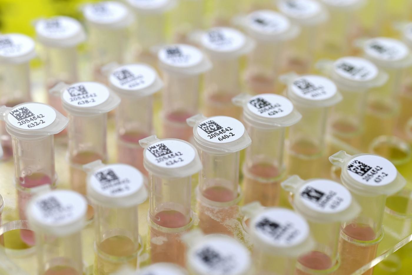 Coronavirus, in Toscana test solo ai sospetti
