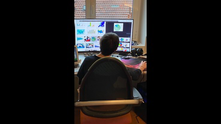 La scuola continua online, l'esempio della Saint Louis di Milano