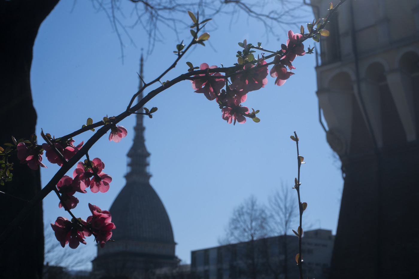 Il meteo dell’8 e 9 marzo: bello al Nord, nubi e piogge al Centrosud