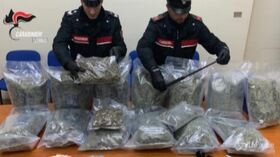 Sequestrati 16kg di marijuana a Torino: un arresto
