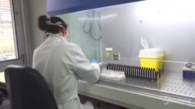 Coronavirus, dentro il laboratorio di Pavia dove si ricerca una cura contro il Covid-19