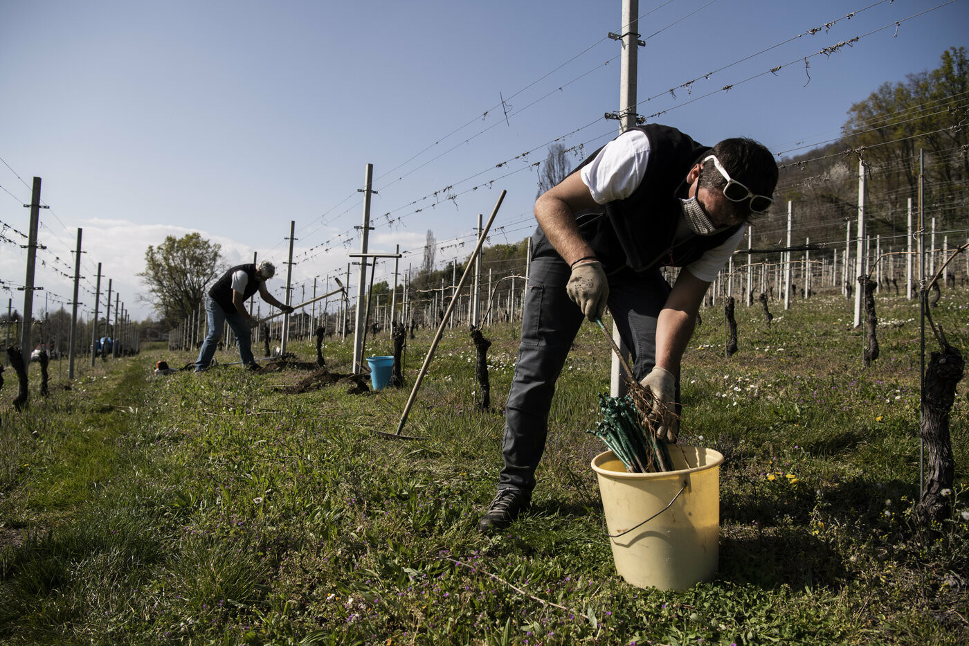 Emergenza Coronavirus in Piemonte – Il lavoro nelle campagne non si interrompe