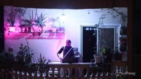 Coronavirus, Egitto: il suono di un violino durante il lockdown notturno