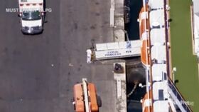 Coronavirus, Coral Princess attracca a Miami con due morti a bordo