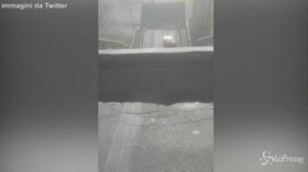 Le prime immagini dopo il crollo del ponte di Albiano Magra: “Scappate, c’è odore di gas”