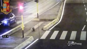 Firenze: polizia ‘scorta’ un’istrice fuori strada