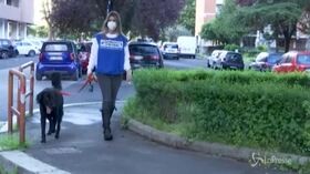 Coronavirus, la task force animalista per cani e gatti di chi è in ospedale o in quarantena