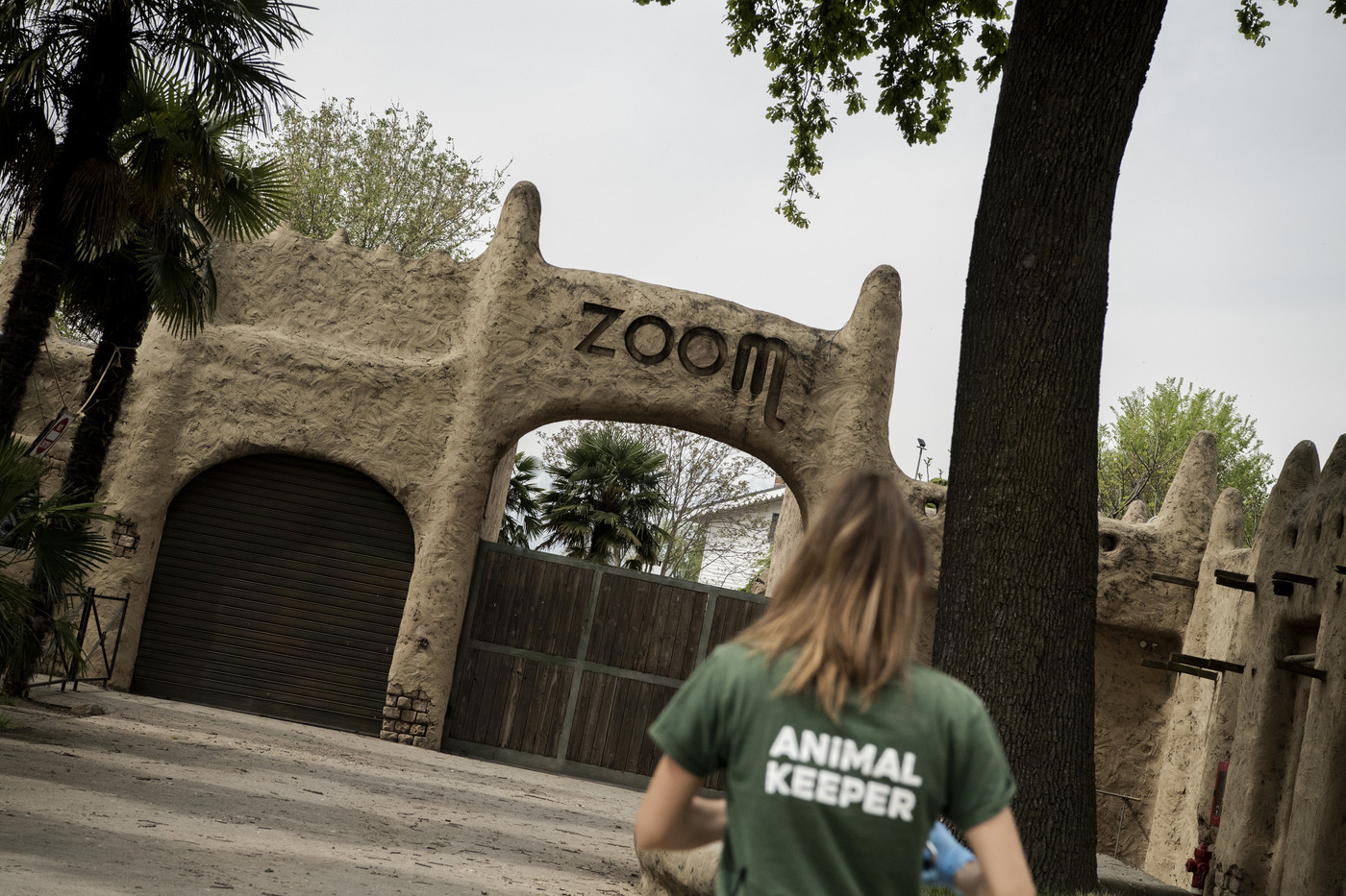 Il bioparco Zoom di Torino. Il lockdown ha chiuso i cancelli ma non l’attività. Oltre 300 gli animali ospitati