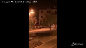 Trentino, nella notte un orso cammina a Molveno
