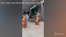 Canada, distribuiscono mascherine travestite da dinosauri