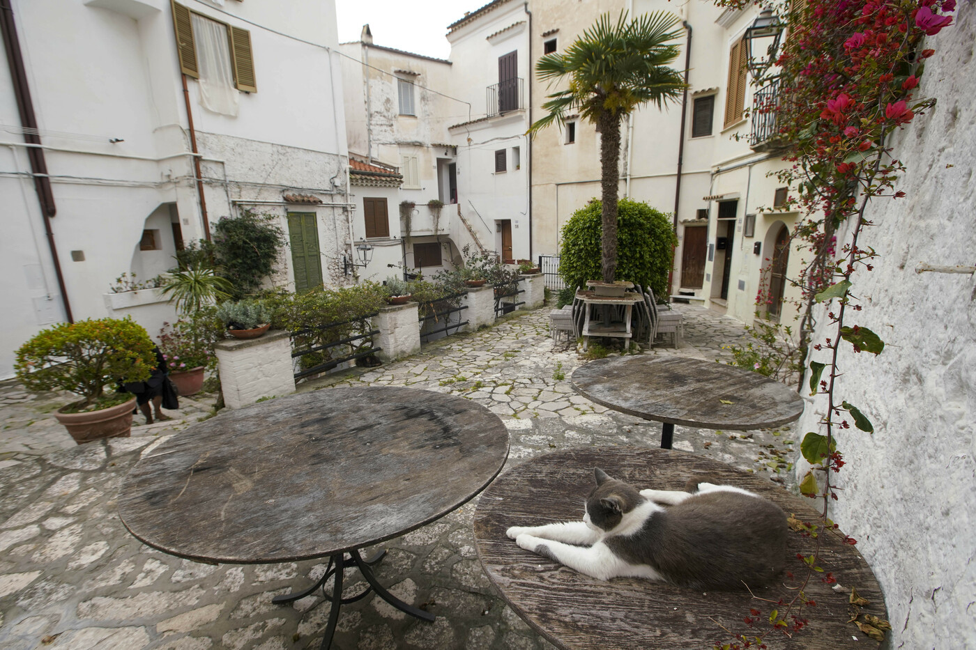 Franceschini: 5 mld su cultura e turismo, 2,4 per bonus vacanze fino a 500 euro