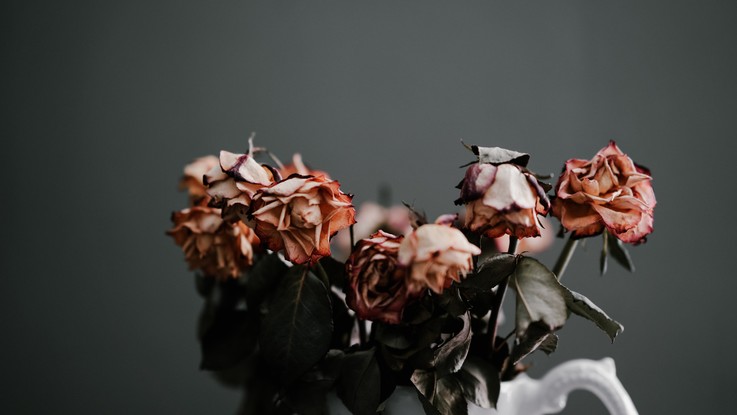 Photo by Annie Spratt on Unsplash