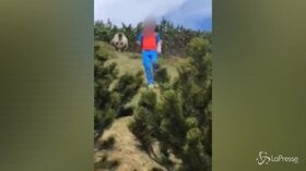 Trentino, incontro ravvicinato a lieto fine tra un orso e un bambino