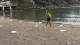 Regole in spiaggia, distanza di un metro anche in acqua