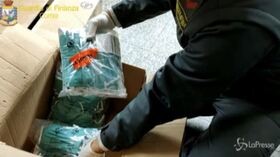 Coronavirus, 400mila mascherine sequestrate nel comasco