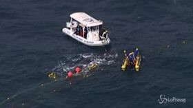 Australia: balene magattere incastrate in rete anti-squali, salvate dai soccorritori