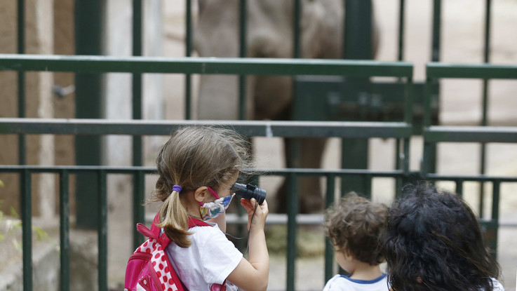 Dl Rilancio, Inps: Bonus baby sitter anche a familiari non conviventi