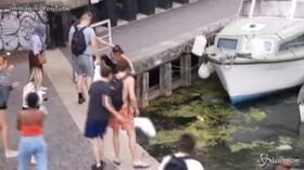 Londra, ragazza tira calci a un cigno: un uomo interviene e viene spinto in acqua