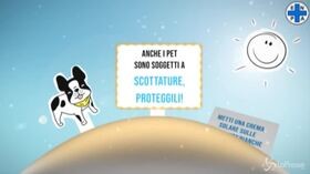 Animali e caldo: i consigli dell’Enpa per affrontare l’estate al meglio
