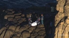 Australia, uomo ucciso dall’attacco di uno squalo