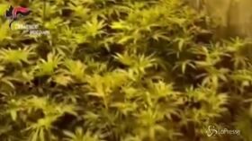 Reggio Calabria, bunker sotterraneo per coltivare marijuana: due arresti
