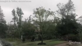 Usa, la tempesta Isaias abbatte gli alberi in Virginia