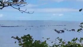 Mauritius, prosegue la bonifica della fuoriuscita di petrolio dal mercantile giapponese