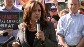 Kamala Harris, la scelta di Biden che segna una svolta storica in USA