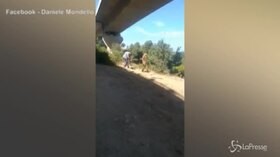 Caronia, papà di Gioele posta video: “Così cercavano mio figlio?”