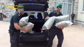 Varese, sequestrati 53 chili di marijuana: arrestato pregiudicato