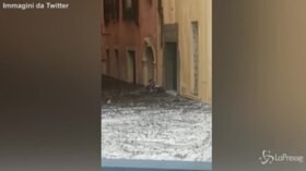 Violento nubifragio a Verona: grandine, strade allagate e alberi sradicati
