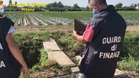 Milano, caporalato nella Martesana: sequestrata azienda agricola