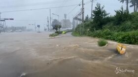 Tifone in Corea del Sud, venti oltre i 130 chilometri all’ora