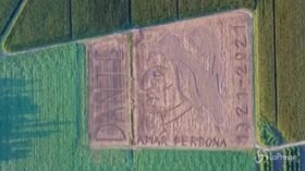 Verona: l’omaggio dell’artista Dario Gambarin a Dante Alighieri