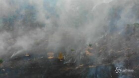 Brasile, roghi nella foresta Amazzonica: le immagini aeree