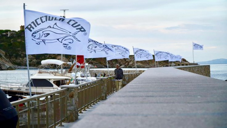 Al Giglio tutto pronto per la Ricciola Cup. Non si ferma la gara di pesca a traina più antica d'Italia