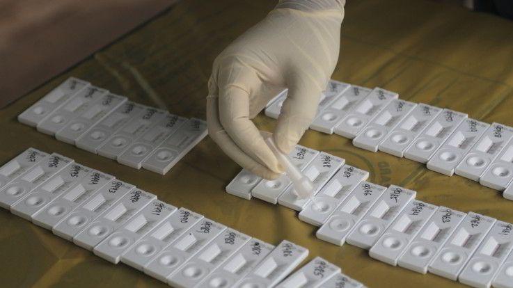 Coronavirus, report Iss: Contagi in aumento, età media in rialzo