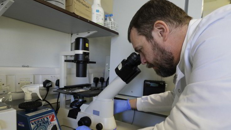AstraZeneca, l'Ema annuncia: "Iniziato l'iter per l'approvazione del vaccino"