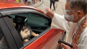 Filippine, benedizione degli animali per la festa di San Francesco