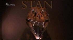 Stan, lo scheletro di T-Rex all’asta per 8 milioni di dollari