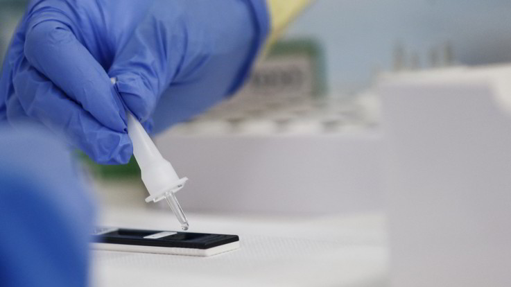 Oms: Speranze di vaccino entro la fine dell'anno