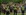 Australia: proteste contro le misure anti-covid a Victoria
