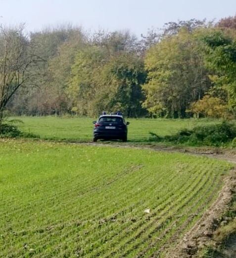 Trovato cadavere nelle campagne di Chivasso: indagano i carabinieri