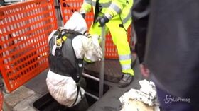 Rapina a Milano, tecnici e polizia scientifica ispezionano le fogne: “Scavato tunnel fino al caveau della banca”